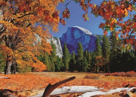 JUMBO Puzzle Yosemitský národní park, USA 500 dílků - obrázek 1