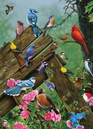 COBBLE HILL Puzzle Lesní ptáci 1000 dílků - obrázek 1