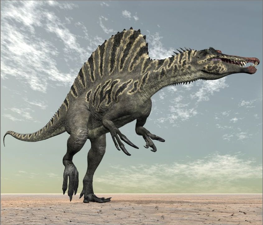 Dinosauří projektor a noční světlo - obrázek 6
