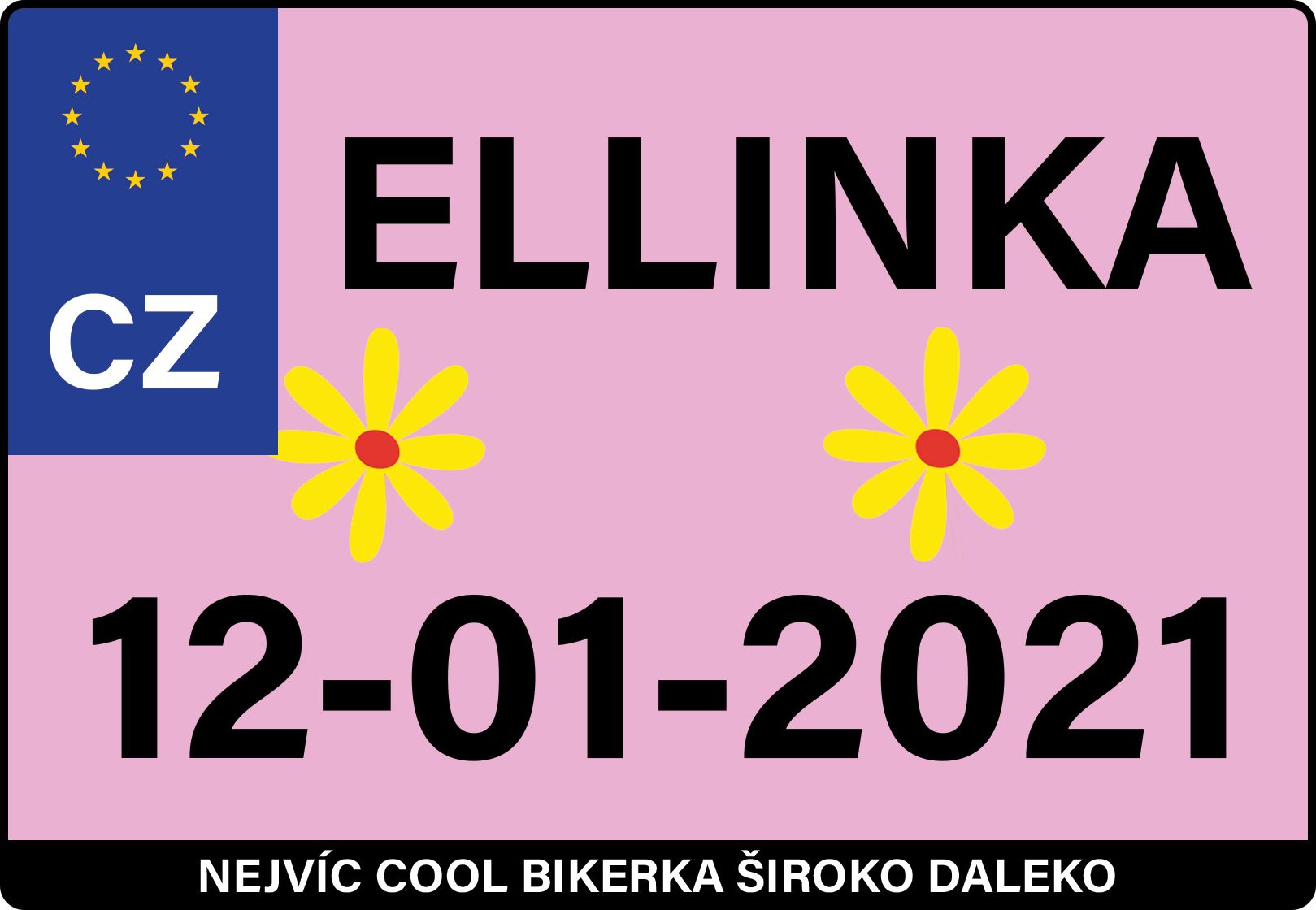 Dětske odrážedlo Enduro značky Toyz, dřevěné, barva mátová, s osobní SPZ Text na SPZ: MiniSagan, Barva SPZ: - - obrázek 7