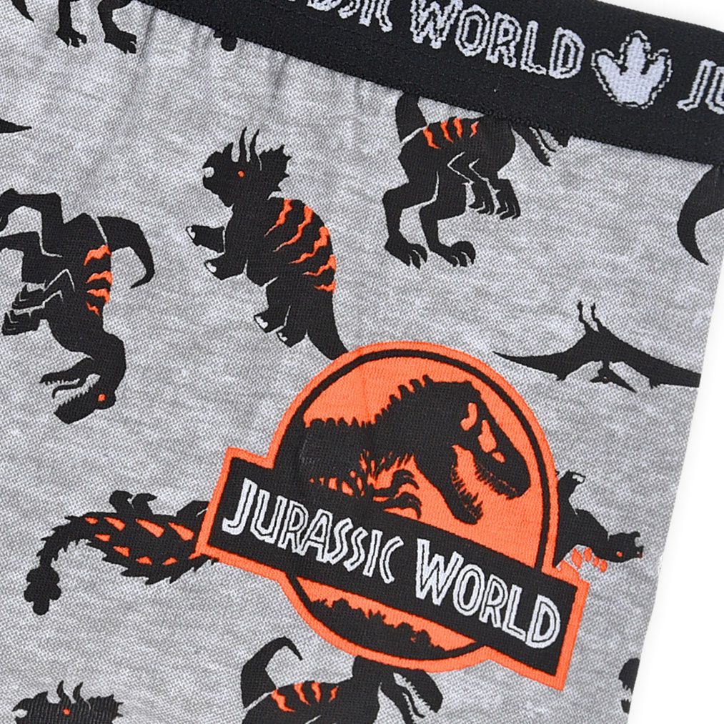 JURRASIC WORLD Chlepceké boxerky Z bio BAVLNY JURASSIC WORLD šedé Velikost: 92-98 - obrázek 2