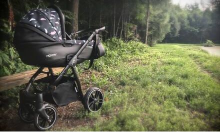 Kočárek Baby Active Mommy Special edition 2022 trojkombinace Rosse - obrázek 8