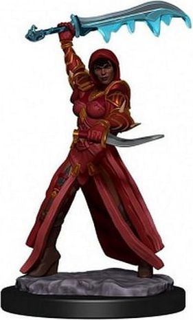 D&D Miniatures: Icons of the Realms - Human Rogue Female - obrázek 1