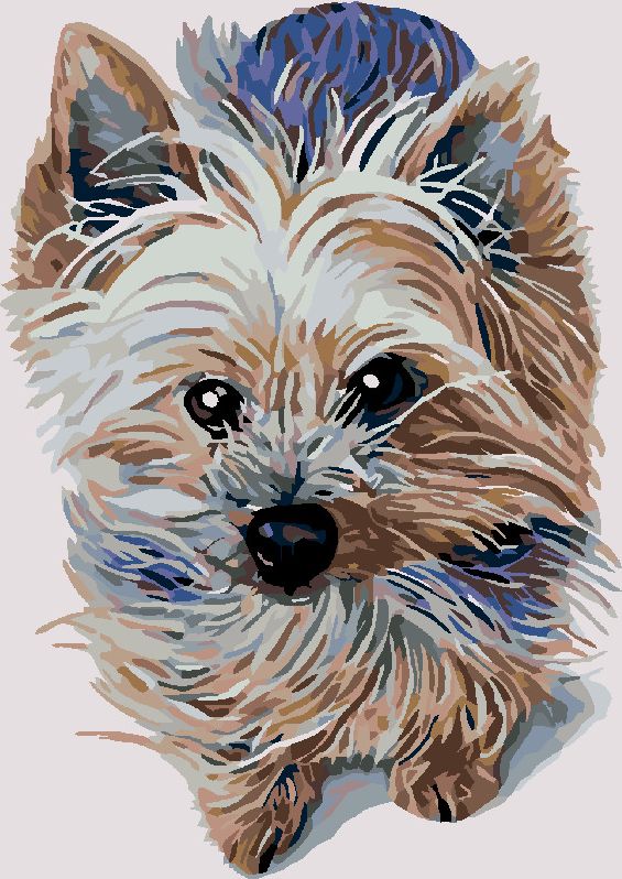 zuty Malování podle čísel - MALÝ JORKŠÍR - Rozměr: 40x50 cm, Rámování: Varianta: vypnuté plátno na rám - obrázek 6