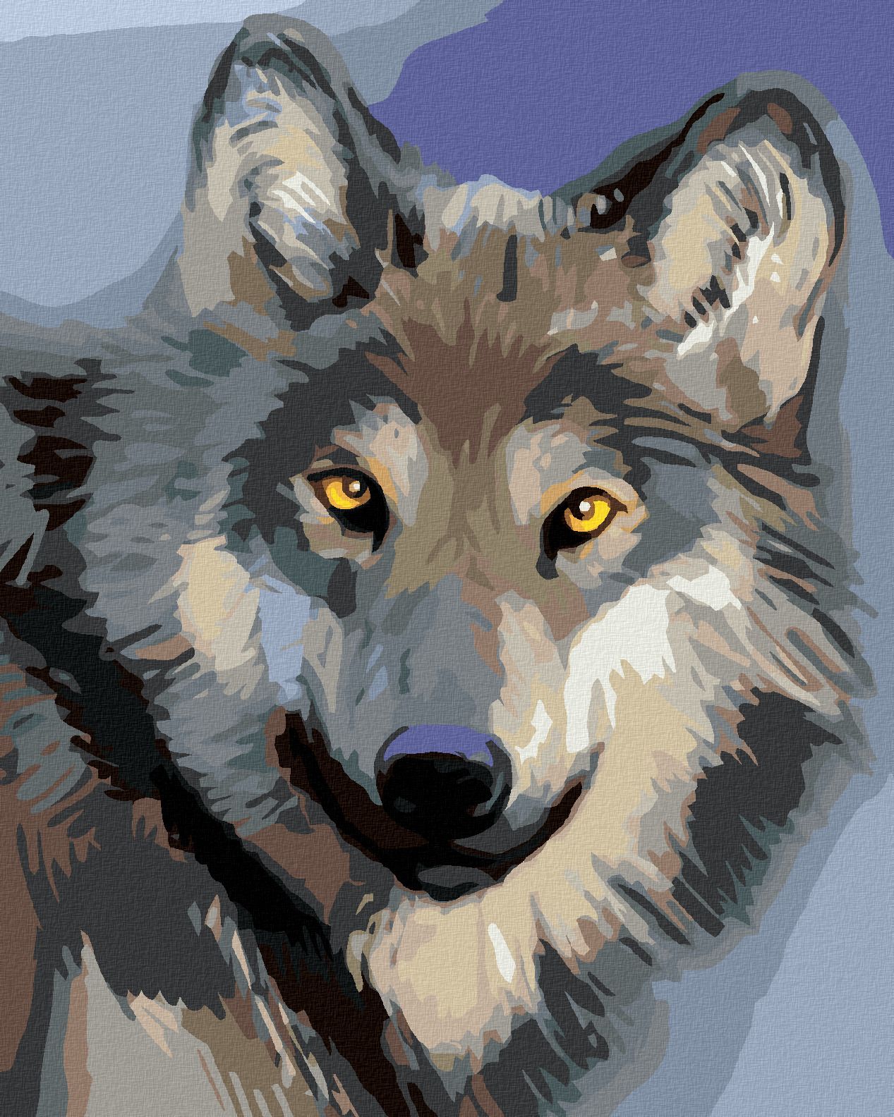 zuty Malování podle čísel - HLAVA VLKA - Rozměr: 40x50 cm, Rámování: Varianta: bez rámu a bez vypnutí plátna - obrázek 2