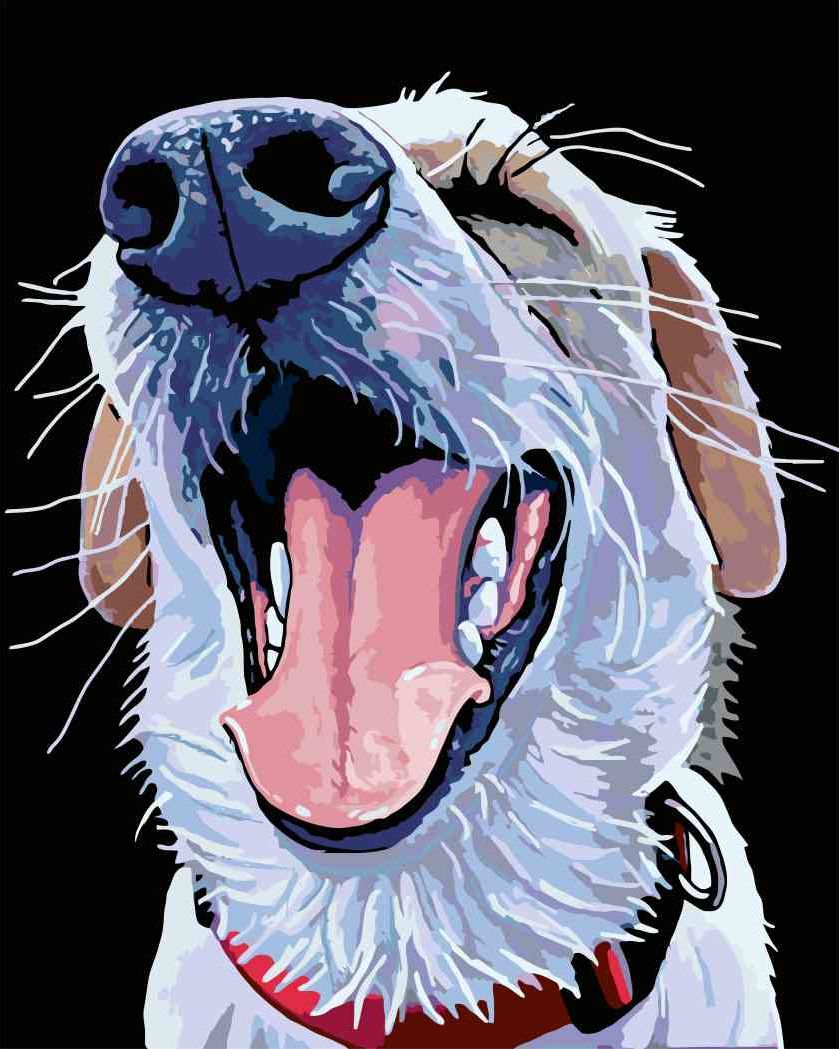 zuty Malování podle čísel - PES S ČERVENÝM OBOJKEM - Rozměr: 40x50 cm, Rámování: Varianta: vypnuté plátno na rám - obrázek 16