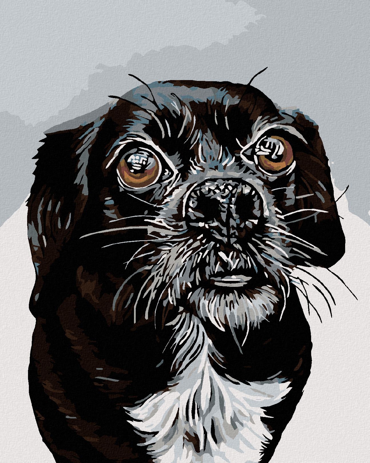 zuty Malování podle čísel - ČERNOBÍLÝ OŘÍŠEK - Rozměr: 40x50 cm, Rámování: Varianta: bez rámu a bez vypnutí plátna - obrázek 1