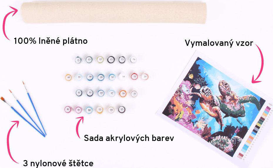 zuty Malování podle čísel - ČERNOBÍLÝ OŘÍŠEK - Rozměr: 40x50 cm, Rámování: Varianta: bez rámu a bez vypnutí plátna - obrázek 2