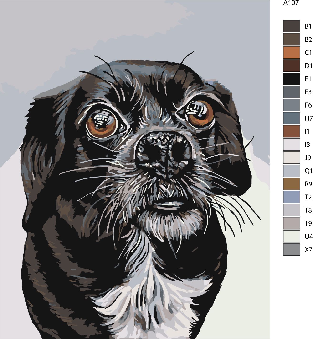 zuty Malování podle čísel - ČERNOBÍLÝ OŘÍŠEK - Rozměr: 40x50 cm, Rámování: Varianta: bez rámu a bez vypnutí plátna - obrázek 6