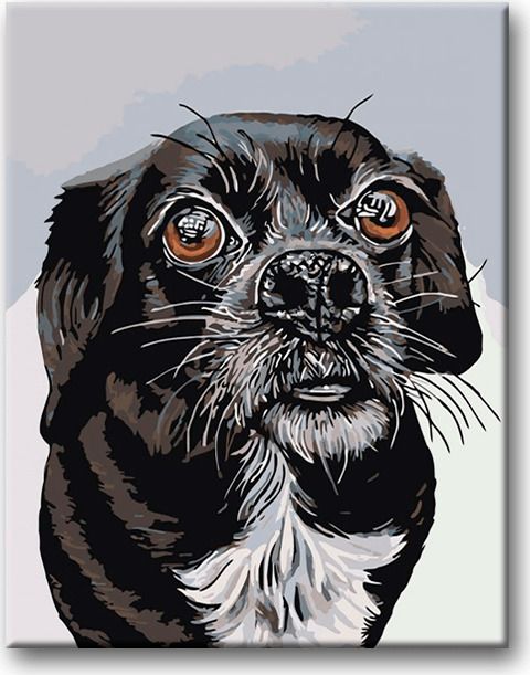 zuty Malování podle čísel - ČERNOBÍLÝ OŘÍŠEK - Rozměr: 40x50 cm, Rámování: Varianta: bez rámu a bez vypnutí plátna - obrázek 17