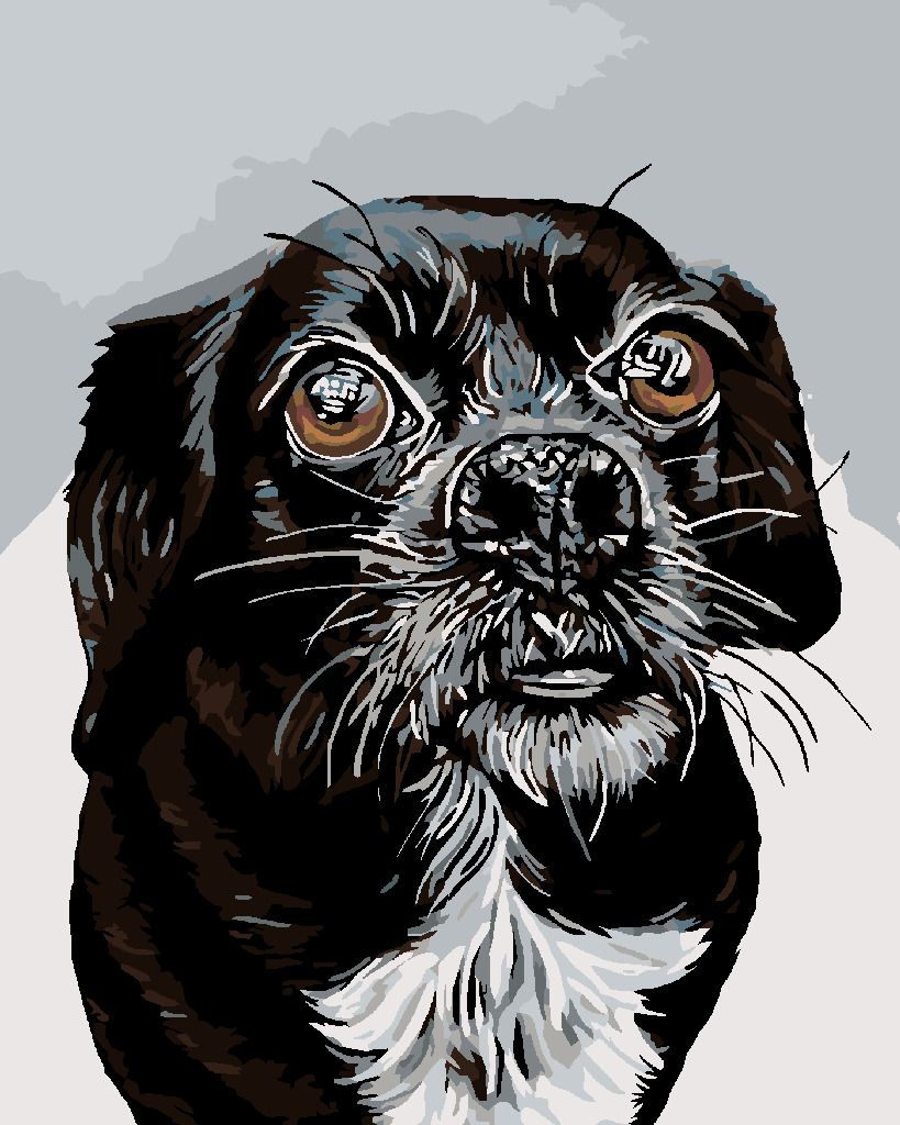 zuty Malování podle čísel - ČERNOBÍLÝ OŘÍŠEK - Rozměr: 40x50 cm, Rámování: Varianta: vypnuté plátno na rám - obrázek 19