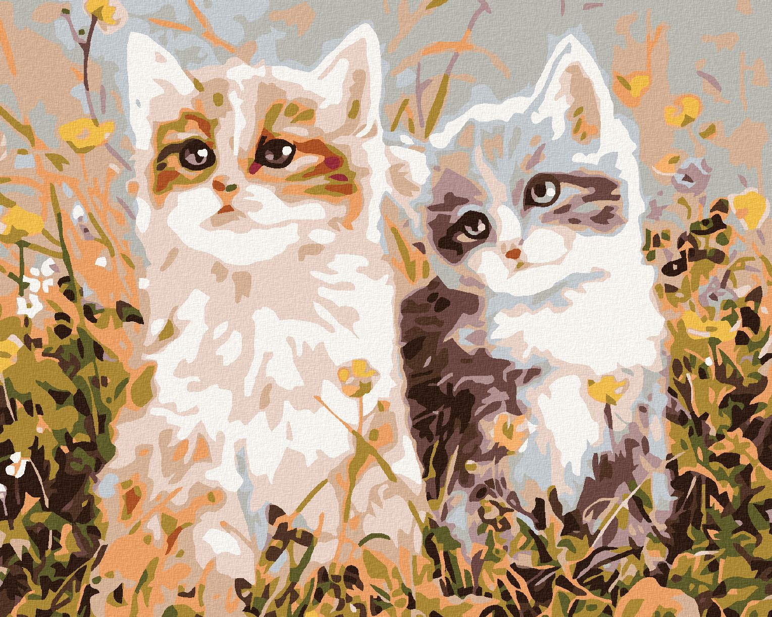 zuty Malování podle čísel - KOŤATA A LUČNÍ KVÍTÍ - Rozměr: 40x50 cm, Rámování: Varianta: vypnuté plátno na rám - obrázek 1