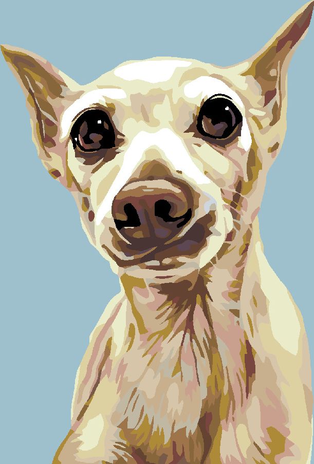 zuty Malování podle čísel - VYDĚŠENÝ PEJSEK - Rozměr: 40x50 cm, Rámování: Varianta: bez rámu a bez vypnutí plátna - obrázek 10