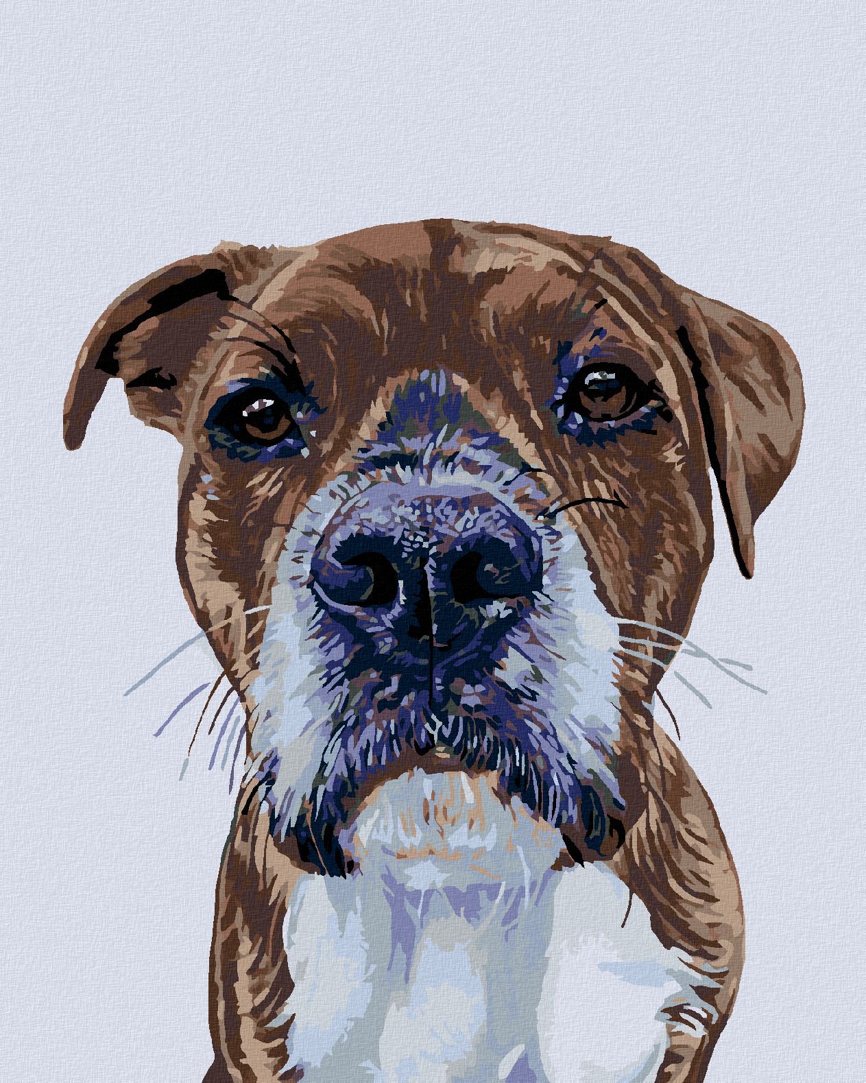 zuty Malování podle čísel - PSÍ POHLED - Rozměr: 40x50 cm, Rámování: Varianta: vypnuté plátno na rám - obrázek 1