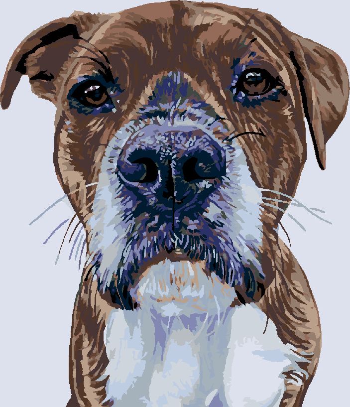 zuty Malování podle čísel - PSÍ POHLED - Rozměr: 40x50 cm, Rámování: Varianta: vypnuté plátno na rám - obrázek 9