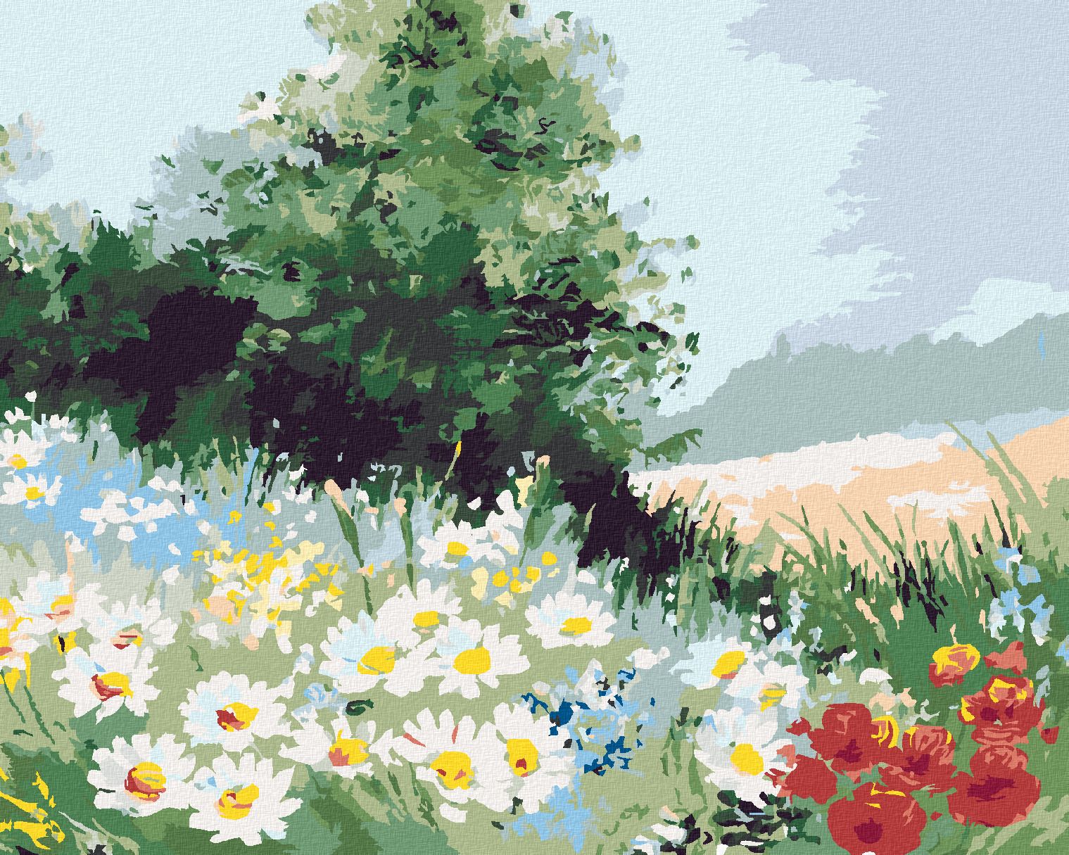 zuty Malování podle čísel - SEDMIKRÁSKOVÉ POLE - Rozměr: 40x50 cm, Rámování: Varianta: vypnuté plátno na rám - obrázek 1