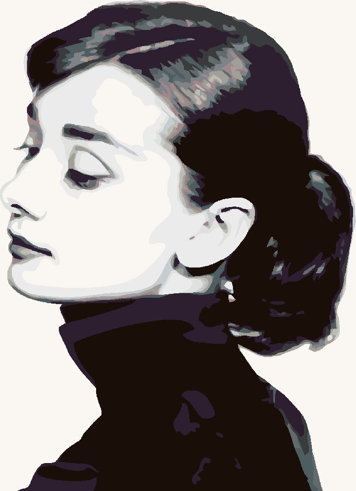 zuty Malování podle čísel - AUDREY HEPBURN I - Rozměr: 40x50 cm, Rámování: Varianta: vypnuté plátno na rám - obrázek 10