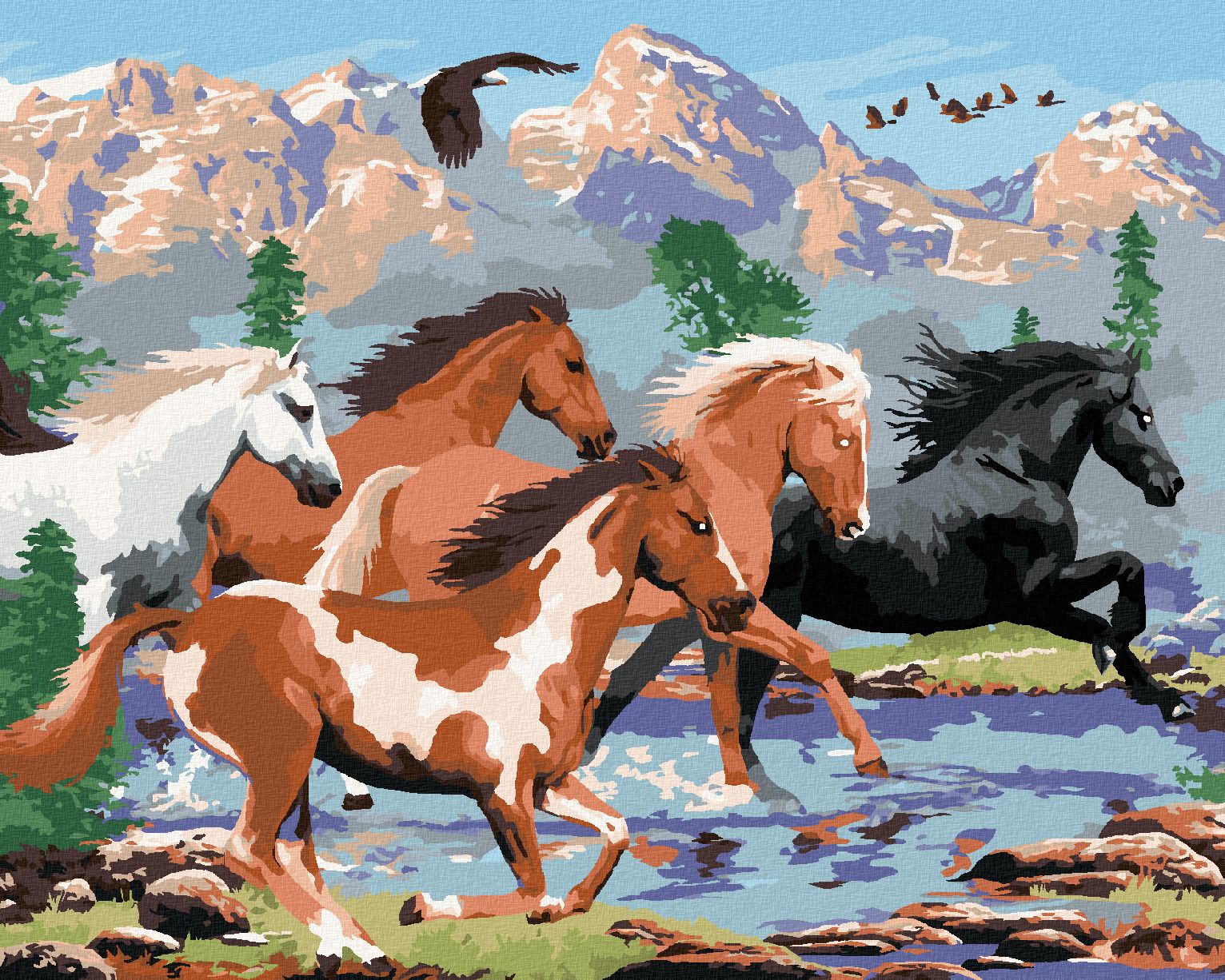 zuty Malování podle čísel - DIVOCÍ KONĚ V HORÁCH (HOWARD ROBINSON) - Rozměr: 40x50 cm, Rámování: Varianta: vypnuté plátno na rám - obrázek 1