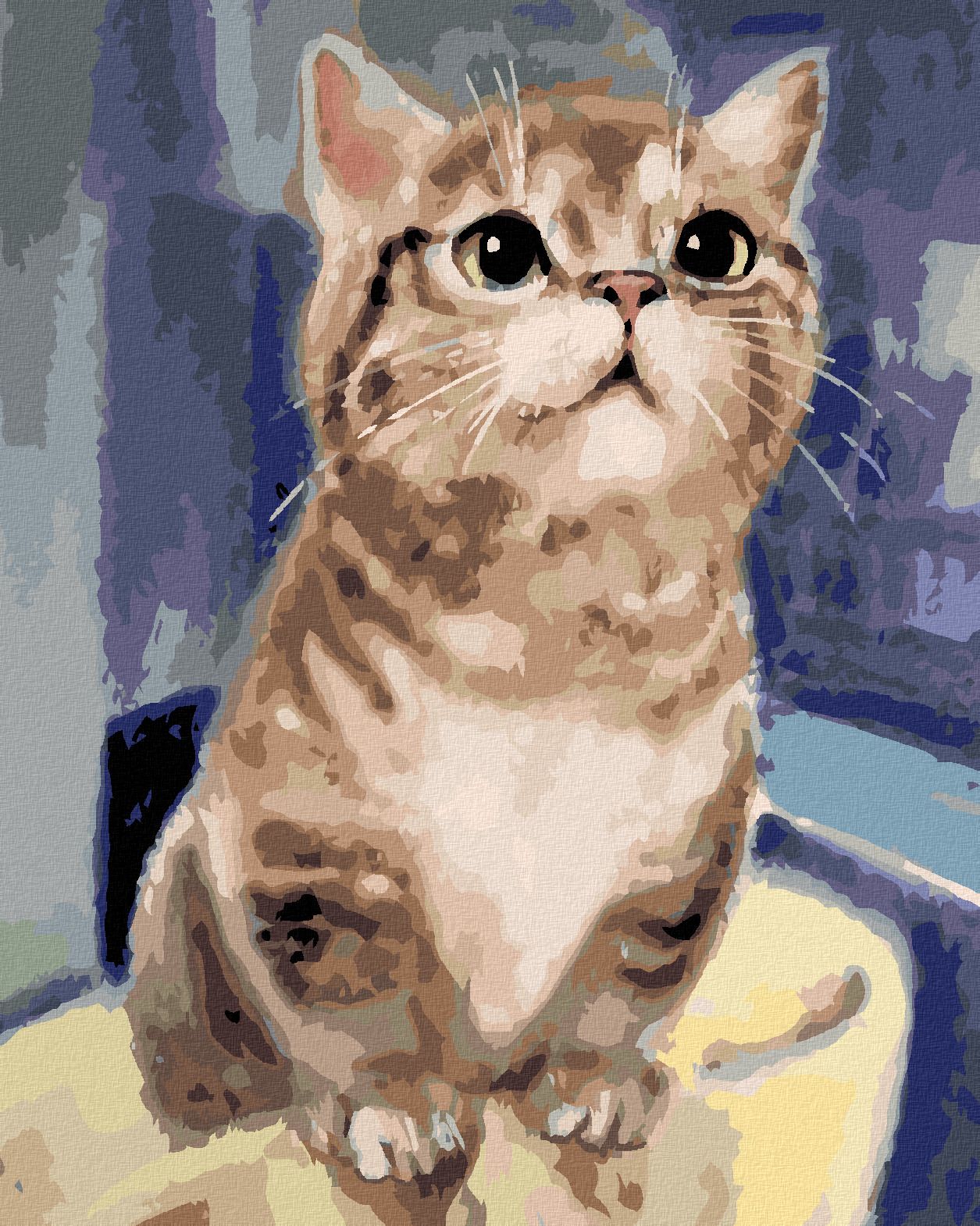 zuty Malování podle čísel - ZVĚDAVÁ KOČKA - Rozměr: 40x50 cm, Rámování: Varianta: vypnuté plátno na rám - obrázek 1