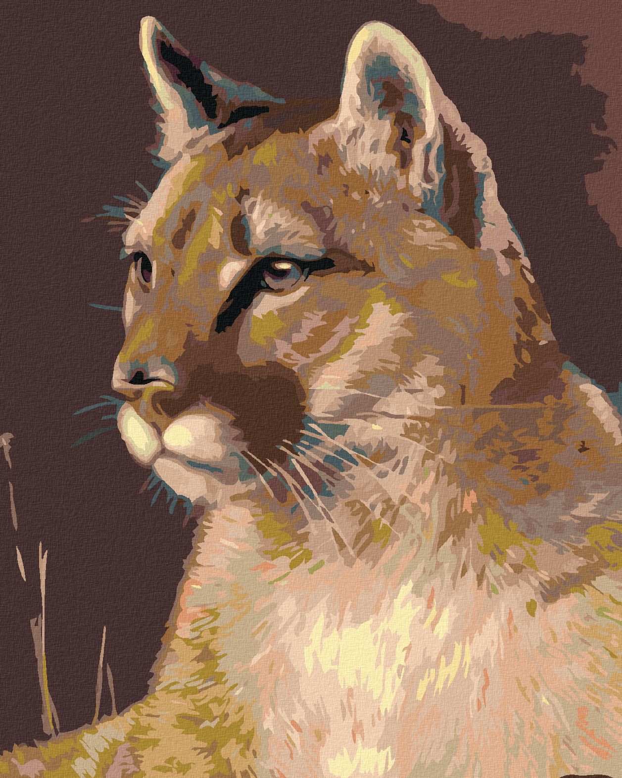 zuty Malování podle čísel - PUMA - Rozměr: 40x50 cm, Rámování: Varianta: vypnuté plátno na rám - obrázek 1