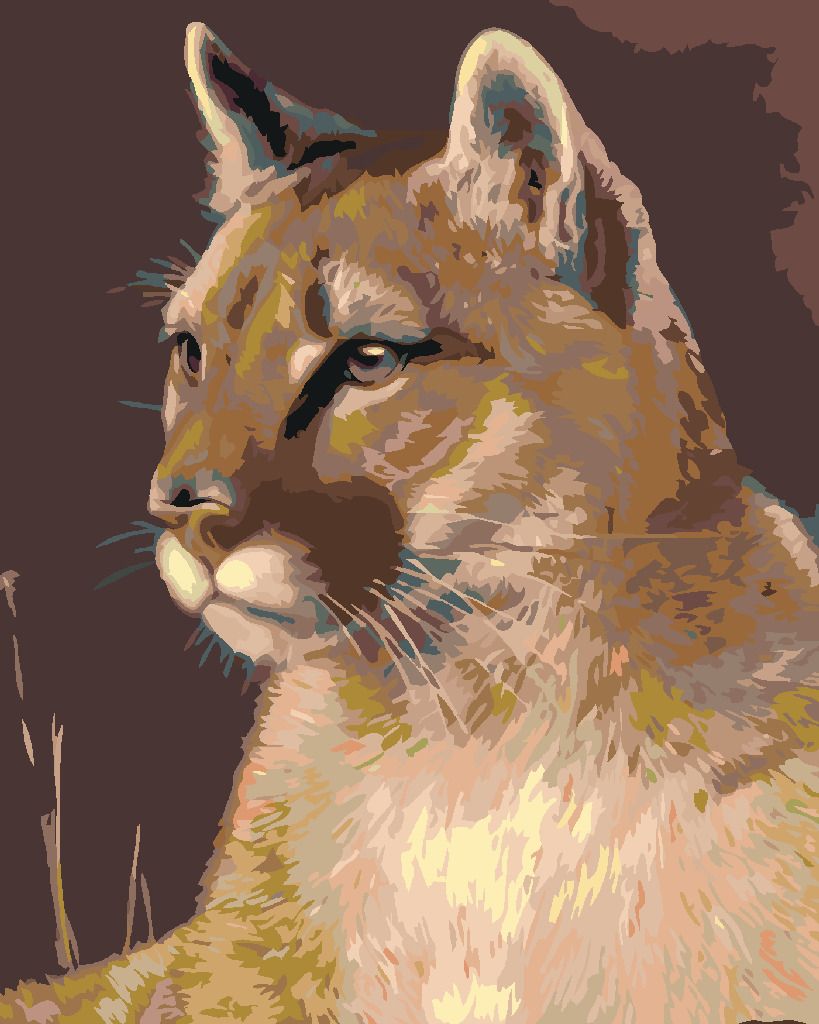 zuty Malování podle čísel - PUMA - Rozměr: 40x50 cm, Rámování: Varianta: vypnuté plátno na rám - obrázek 9
