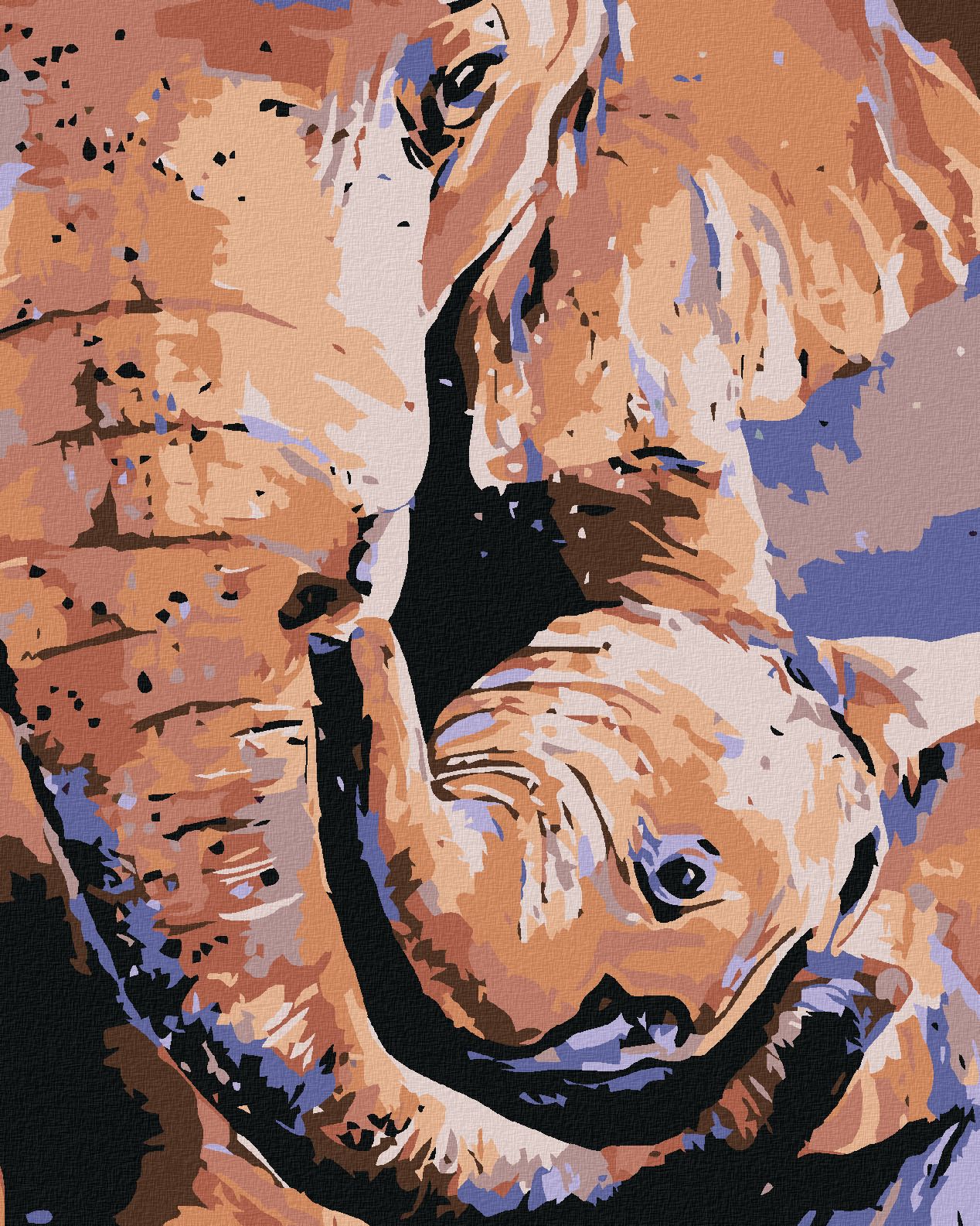 zuty Malování podle čísel - SLONICE A SLŮNĚ - Rozměr: 40x50 cm, Rámování: Varianta: vypnuté plátno na rám - obrázek 1