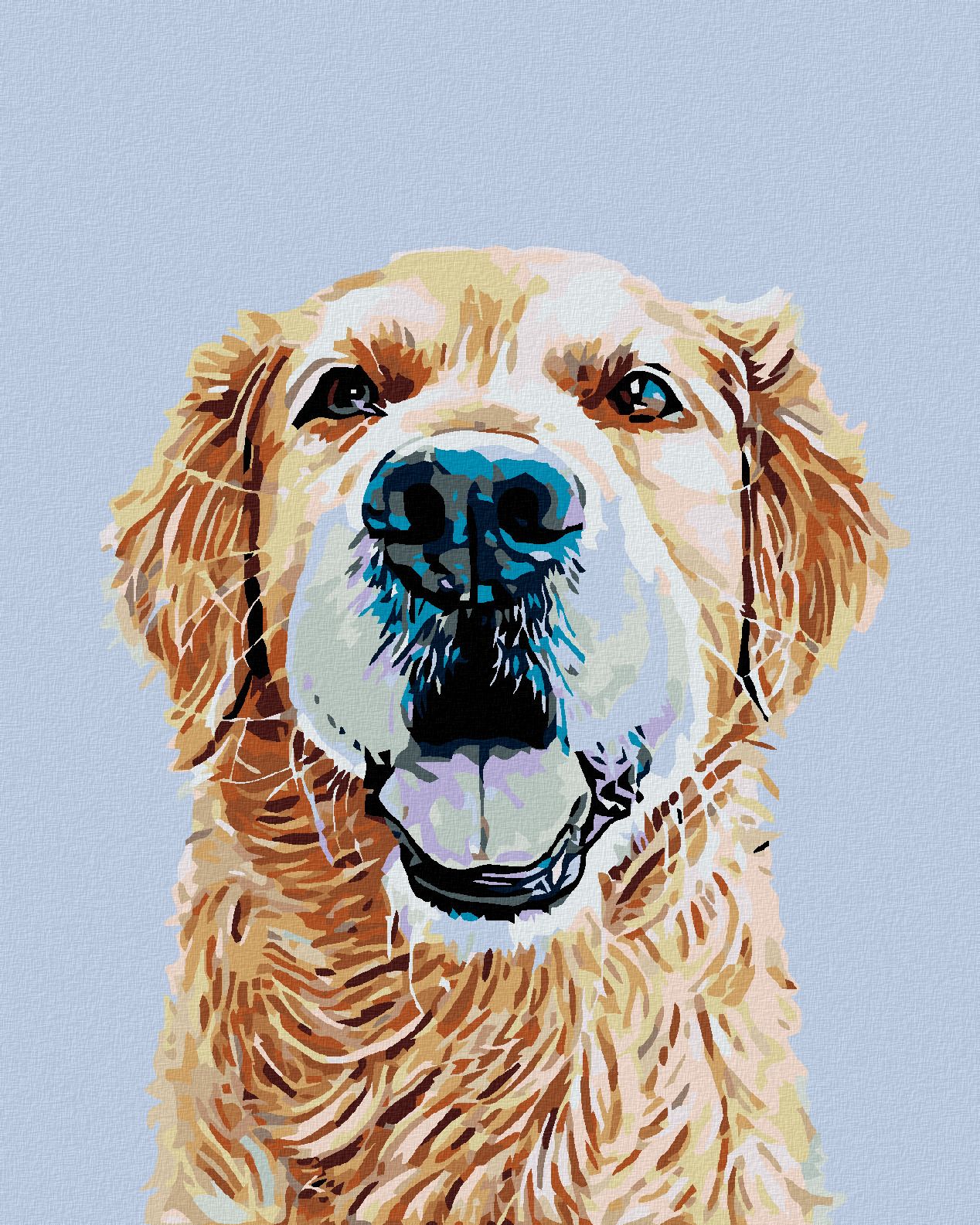 zuty Malování podle čísel - ZLATÝ RETRÍVR - Rozměr: 40x50 cm, Rámování: Varianta: vypnuté plátno na rám - obrázek 1