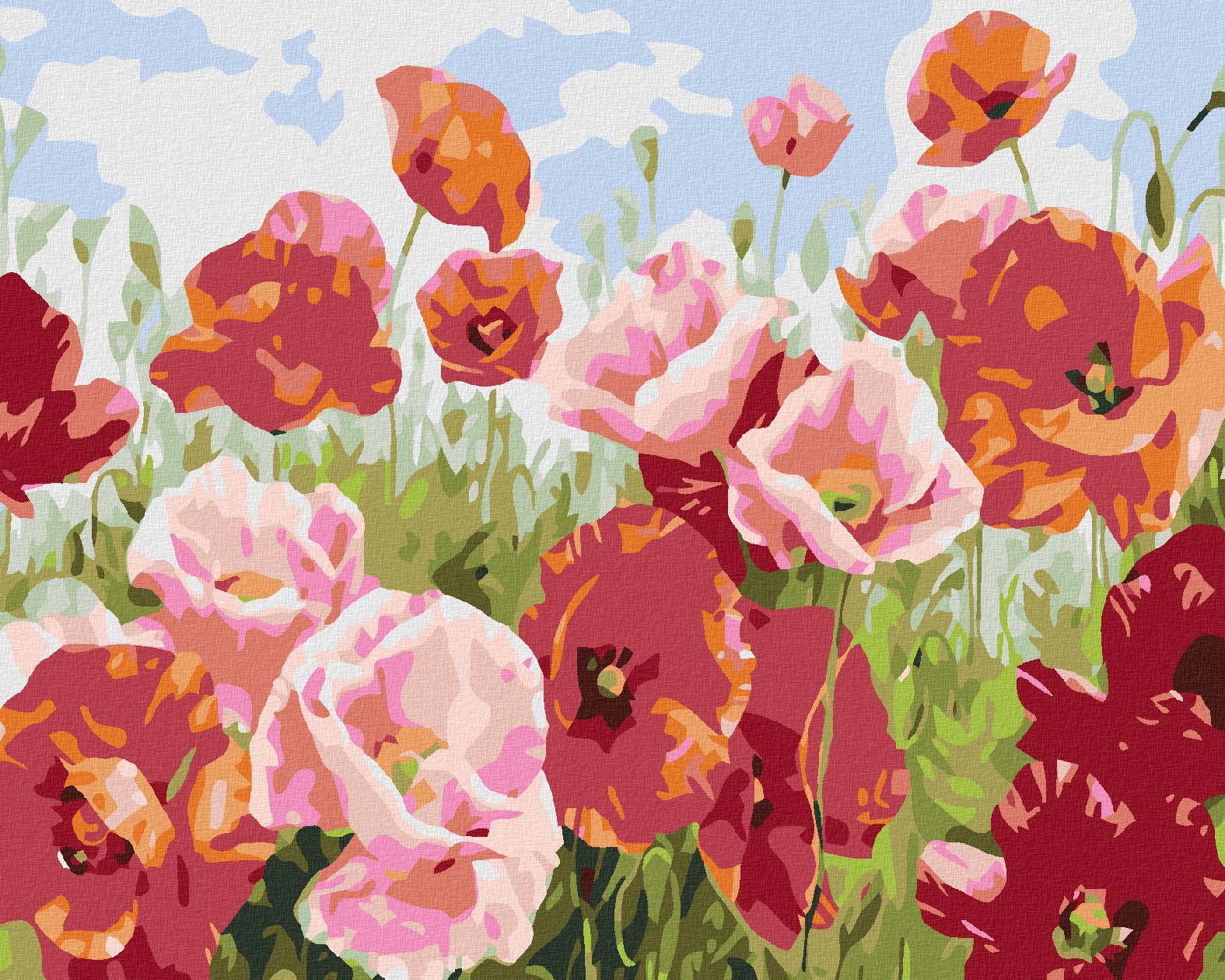 zuty Malování podle čísel - VLČÍ MÁKY V MNOHA ODSTÍNECH - Rozměr: 40x50 cm, Rámování: Varianta: bez rámu a bez vypnutí plátna - obrázek 1