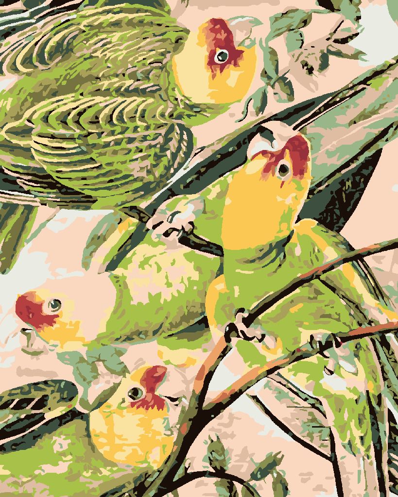 zuty Malování podle čísel - PAPOUŠCI NA VĚTVIČCE - Rozměr: 40x50 cm, Rámování: Varianta: vypnuté plátno na rám - obrázek 4