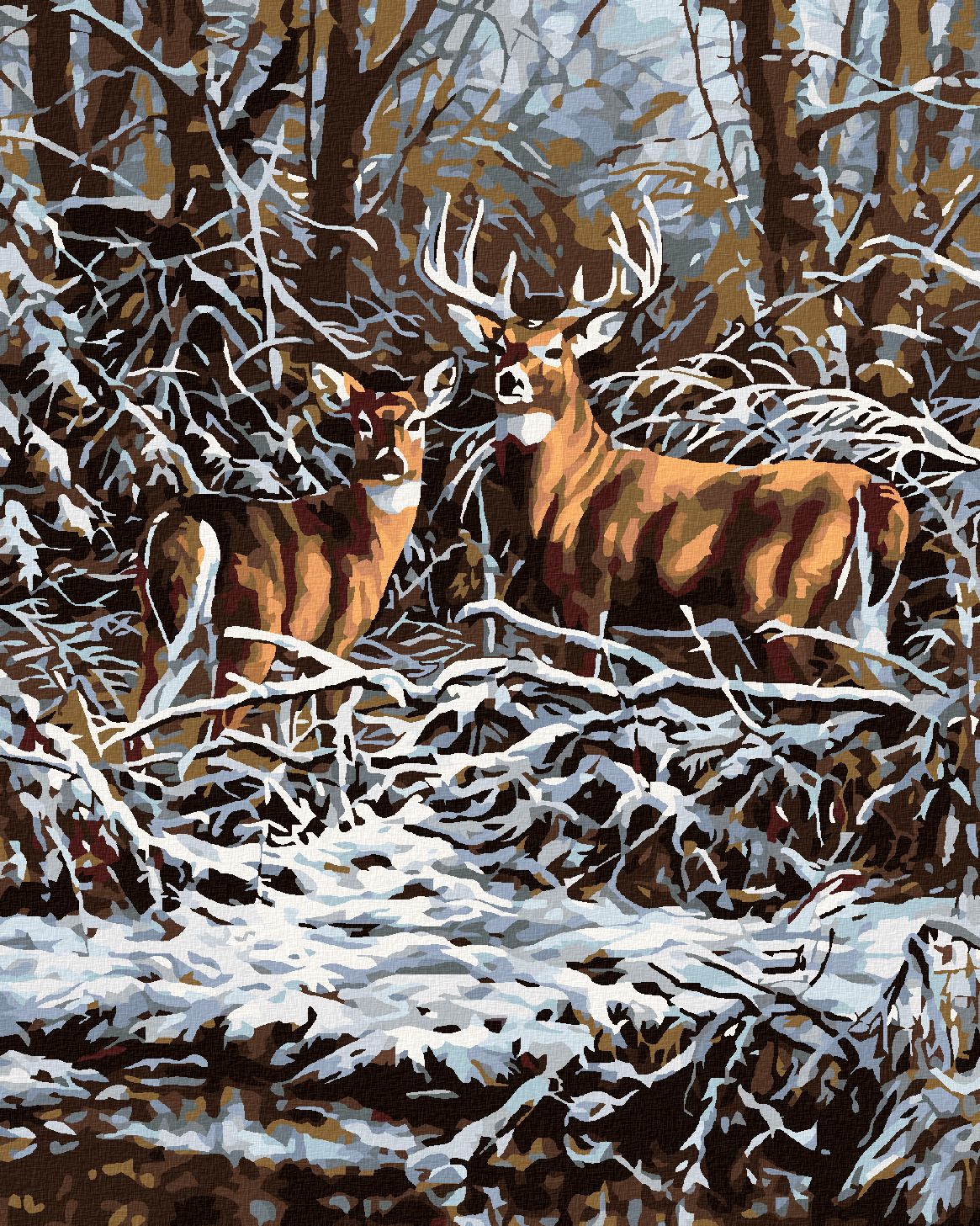 zuty Malování podle čísel - JELEN S LANÍ V ROŠTÍ - Rozměr: 40x50 cm, Rámování: Varianta: vypnuté plátno na rám - obrázek 1