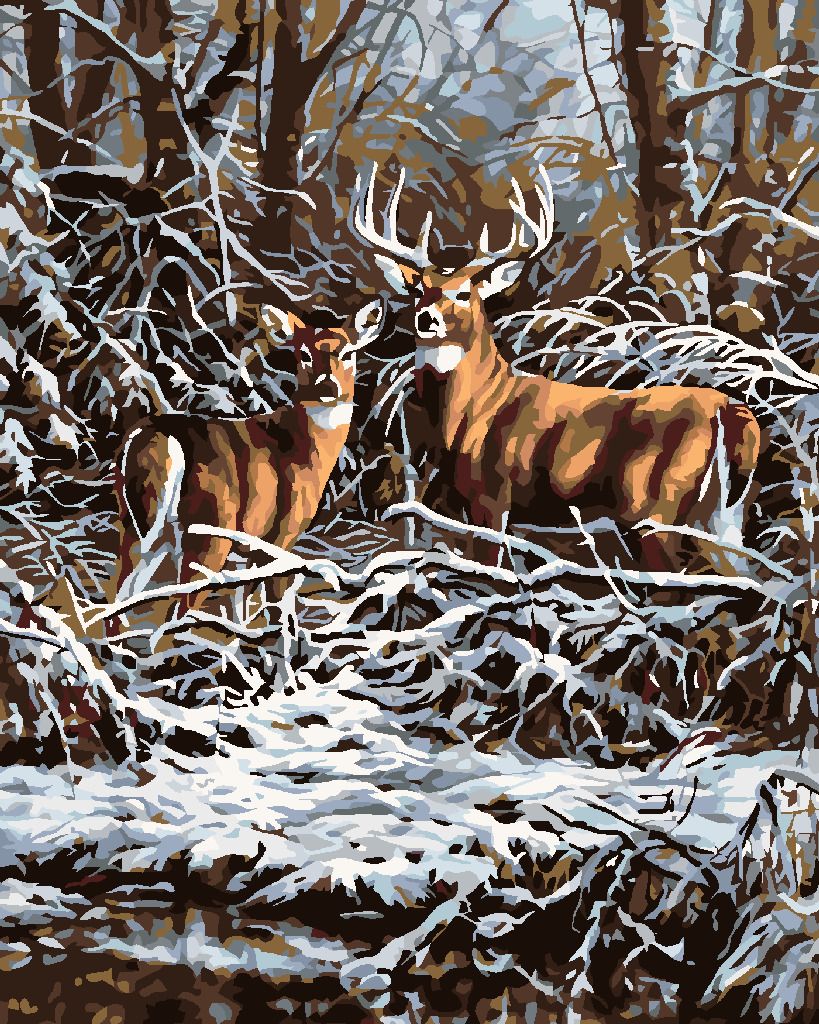 zuty Malování podle čísel - JELEN S LANÍ V ROŠTÍ - Rozměr: 40x50 cm, Rámování: Varianta: vypnuté plátno na rám - obrázek 7