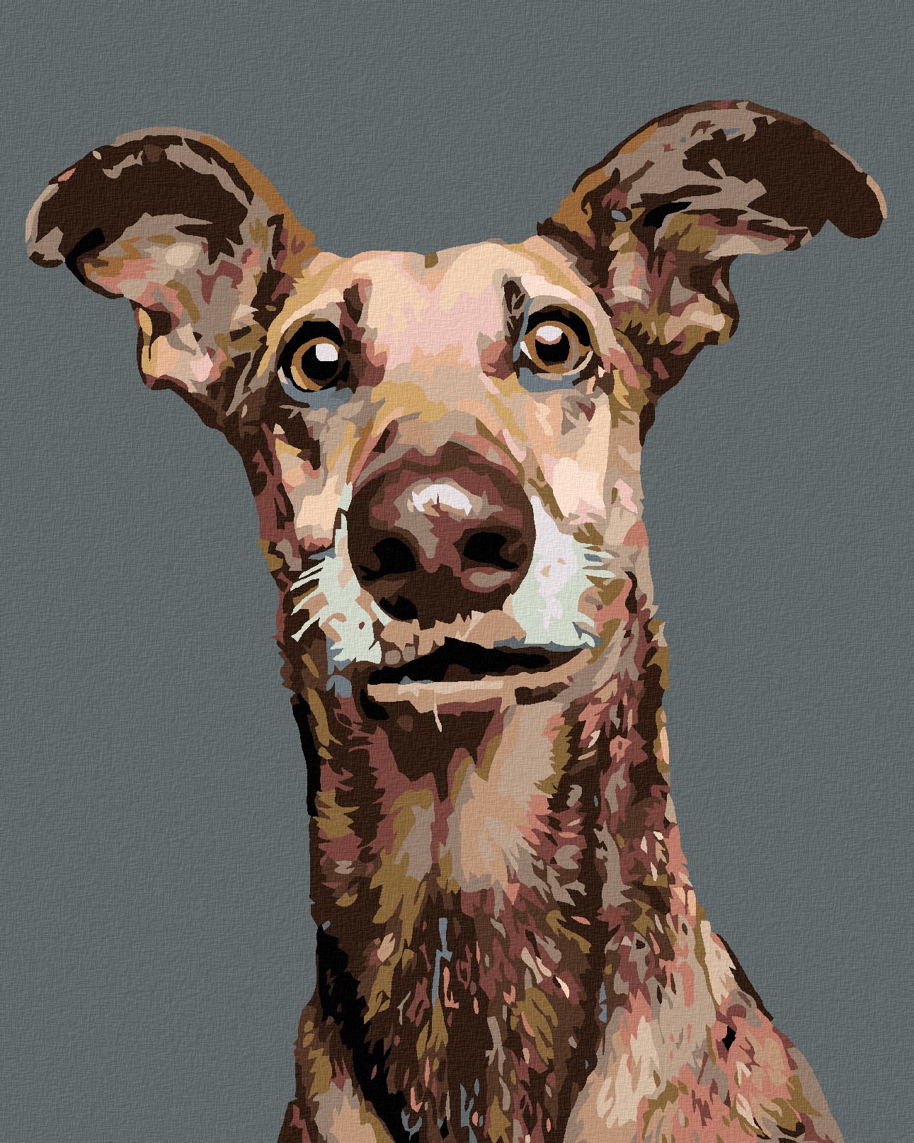 zuty Malování podle čísel - PES S NASTRAŽENÝMA UŠIMA - Rozměr: 40x50 cm, Rámování: Varianta: vypnuté plátno na rám - obrázek 1