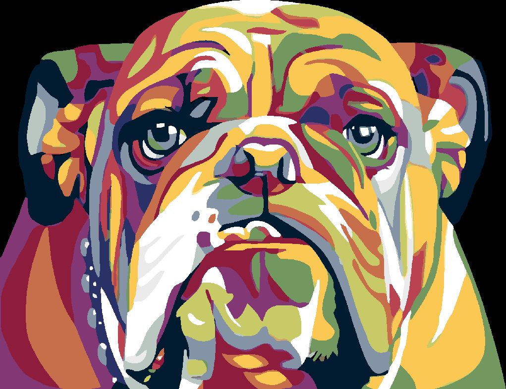 zuty Malování podle čísel - BULDOG - Rozměr: 40x50 cm, Rámování: Varianta: bez rámu a bez vypnutí plátna - obrázek 7