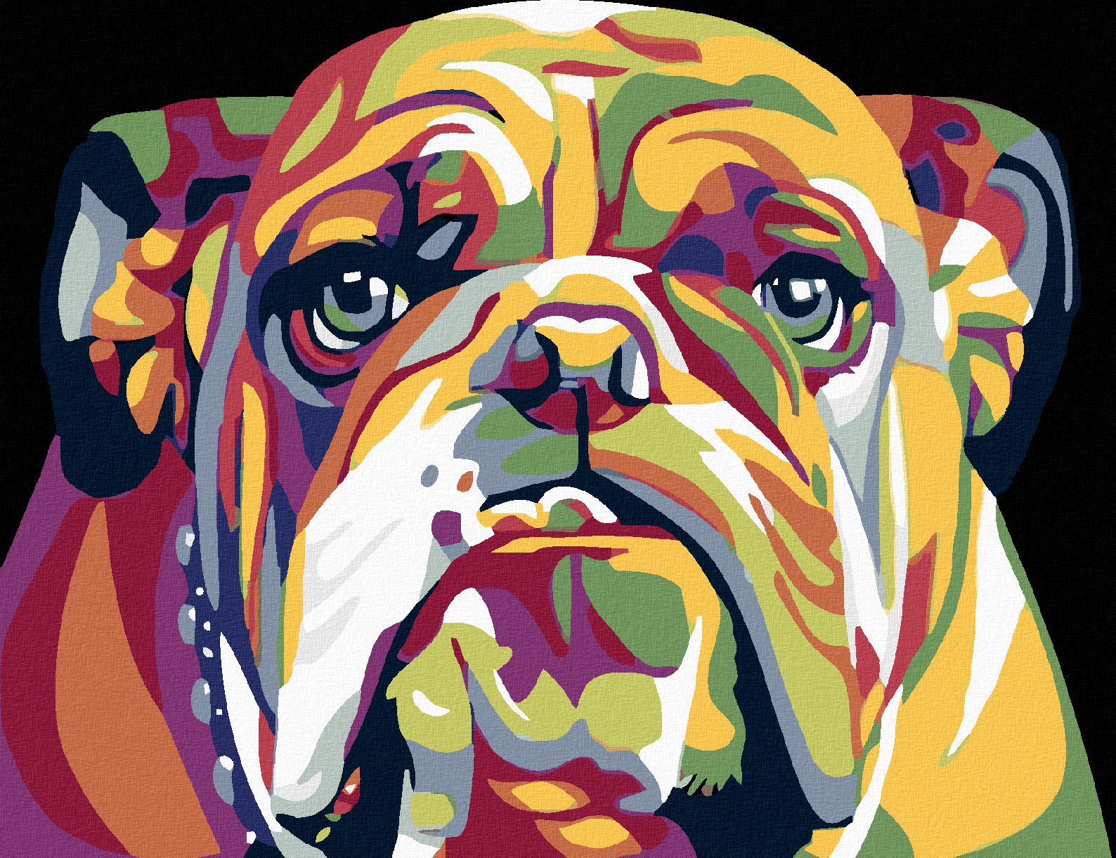 zuty Malování podle čísel - BULDOG - Rozměr: 40x50 cm, Rámování: Varianta: vypnuté plátno na rám - obrázek 1