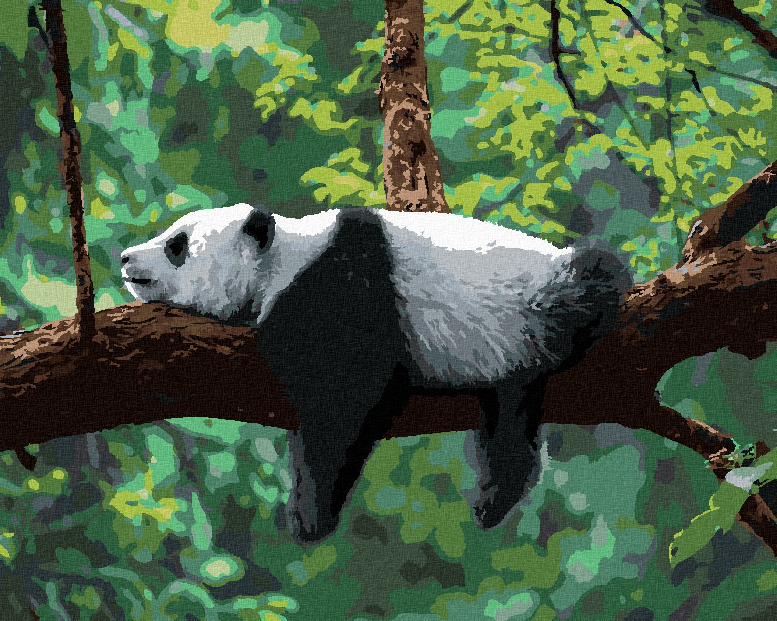 zuty Malování podle čísel - PANDA LEŽÍCÍ NA STROMĚ - Rozměr: 40x50 cm, Rámování: Varianta: vypnuté plátno na rám - obrázek 1