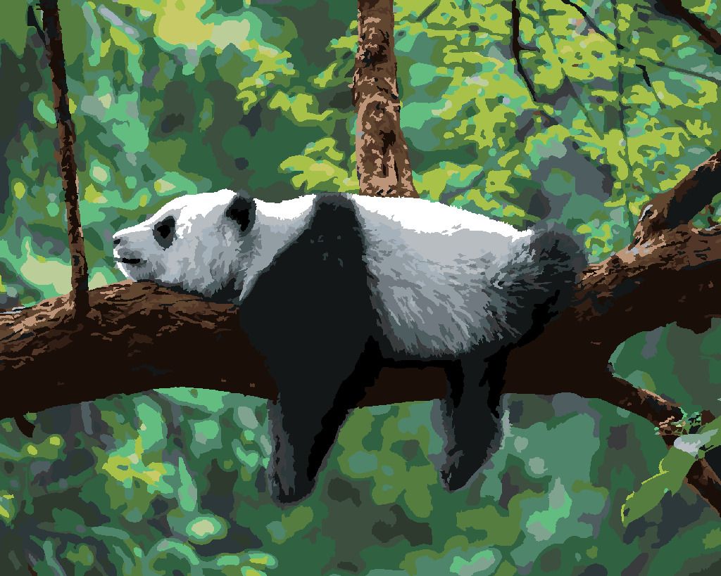 zuty Malování podle čísel - PANDA LEŽÍCÍ NA STROMĚ - Rozměr: 40x50 cm, Rámování: Varianta: vypnuté plátno na rám - obrázek 6