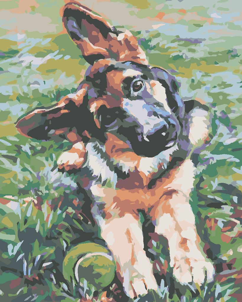 zuty Malování podle čísel - ŠTĚNĚ OVČÁKA - Rozměr: 40x50 cm, Rámování: Varianta: vypnuté plátno na rám - obrázek 7