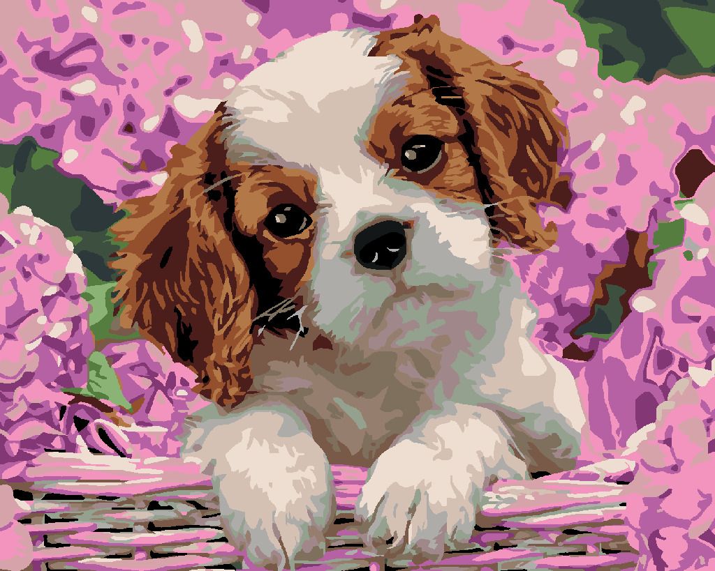 zuty Malování podle čísel - ŠTĚŇÁTKO A HORTENZIE - Rozměr: 40x50 cm, Rámování: Varianta: vypnuté plátno na rám - obrázek 6