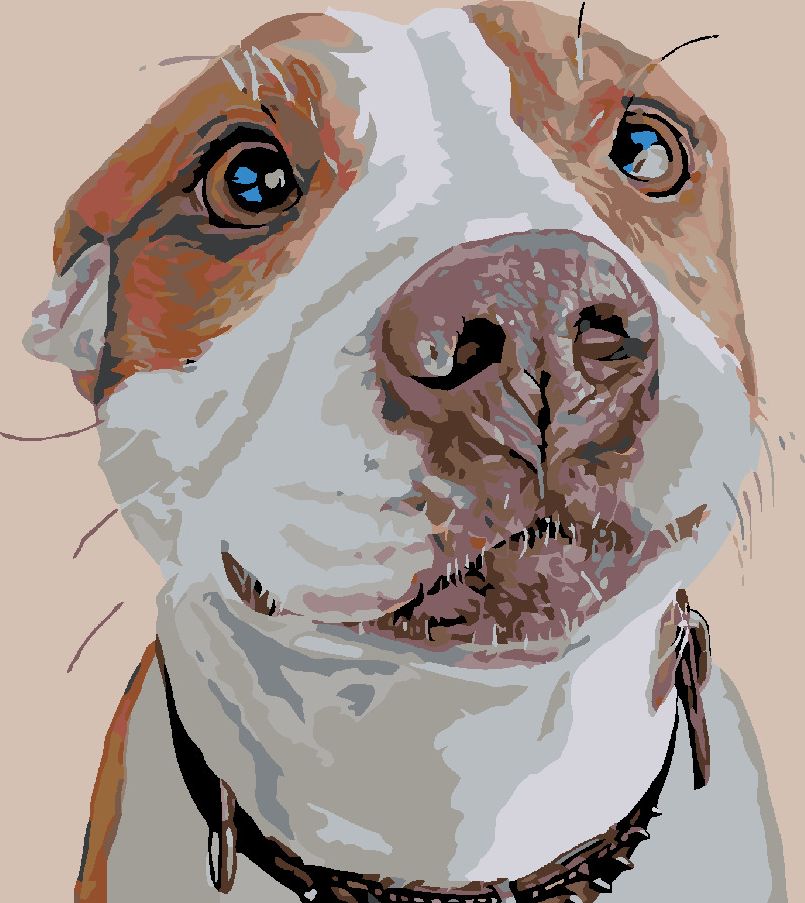 zuty Malování podle čísel - ČEKAJÍCÍ PES - Rozměr: 40x50 cm, Rámování: Varianta: vypnuté plátno na rám - obrázek 3