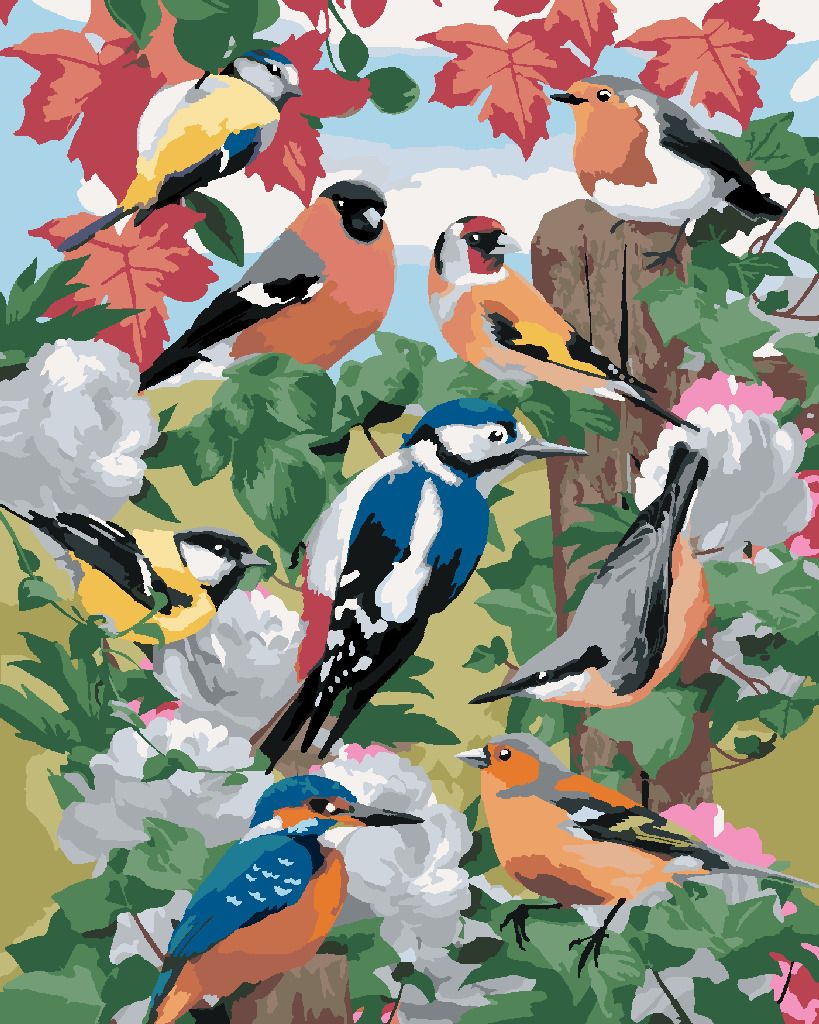 zuty Malování podle čísel - PTÁCI A BÍLÉ KVĚTINY (HOWARD ROBINSON) - Rozměr: 40x50 cm, Rámování: Varianta: vypnuté plátno na rám - obrázek 3