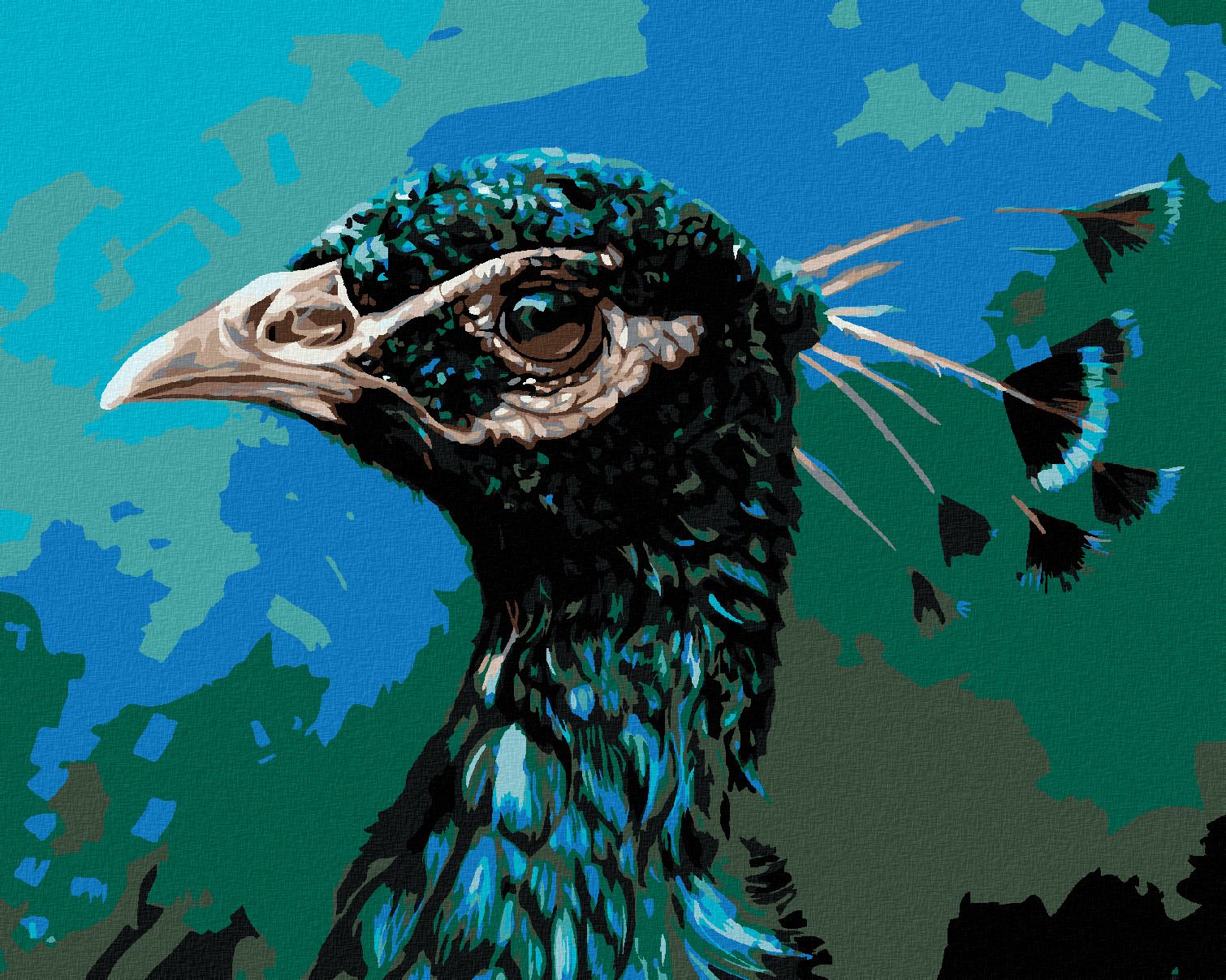 zuty Malování podle čísel - PAVÍ PROFIL - Rozměr: 40x50 cm, Rámování: Varianta: bez rámu a bez vypnutí plátna - obrázek 1