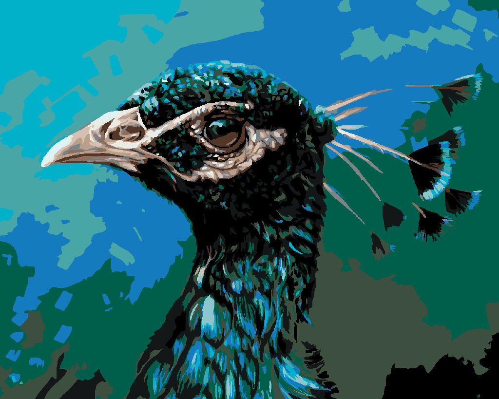zuty Malování podle čísel - PAVÍ PROFIL - Rozměr: 40x50 cm, Rámování: Varianta: bez rámu a bez vypnutí plátna - obrázek 9