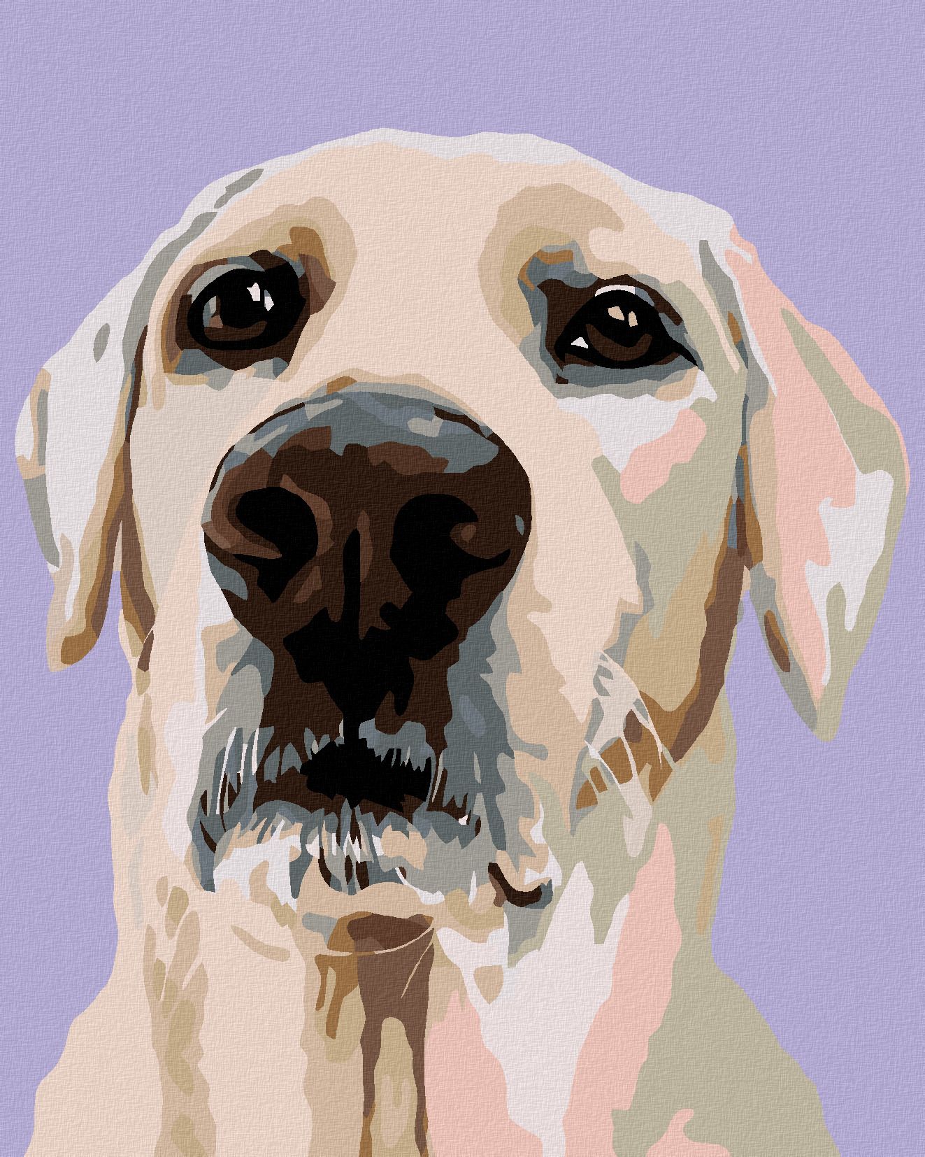 zuty Malování podle čísel - LABRADORSKÝ RETRÍVR - Rozměr: 40x50 cm, Rámování: Varianta: bez rámu a bez vypnutí plátna - obrázek 1
