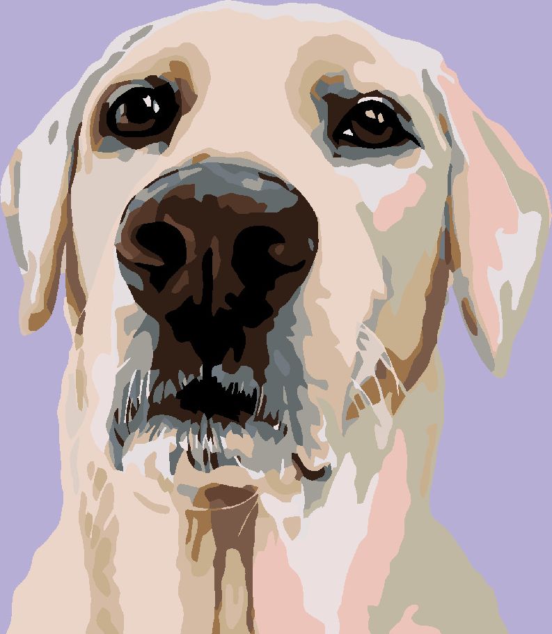 zuty Malování podle čísel - LABRADORSKÝ RETRÍVR - Rozměr: 40x50 cm, Rámování: Varianta: bez rámu a bez vypnutí plátna - obrázek 9
