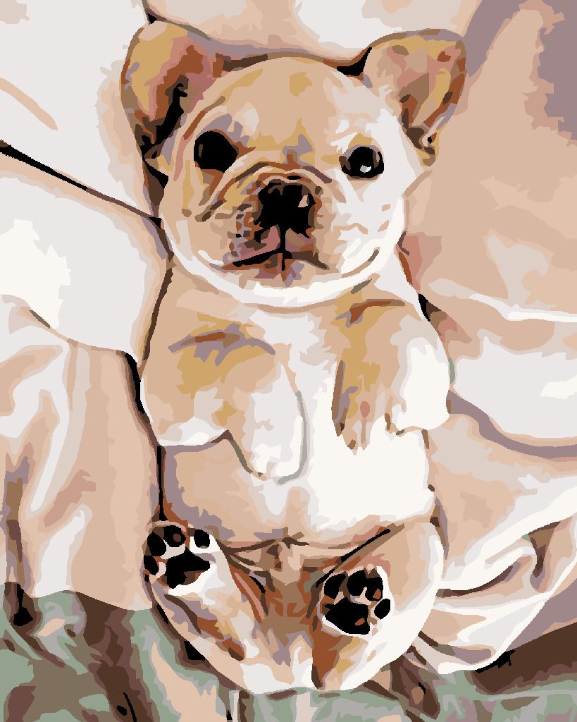 zuty Malování podle čísel - MALÉ ŠTĚNĚ BULDOČKA - Rozměr: 40x50 cm, Rámování: Varianta: bez rámu a bez vypnutí plátna - obrázek 2