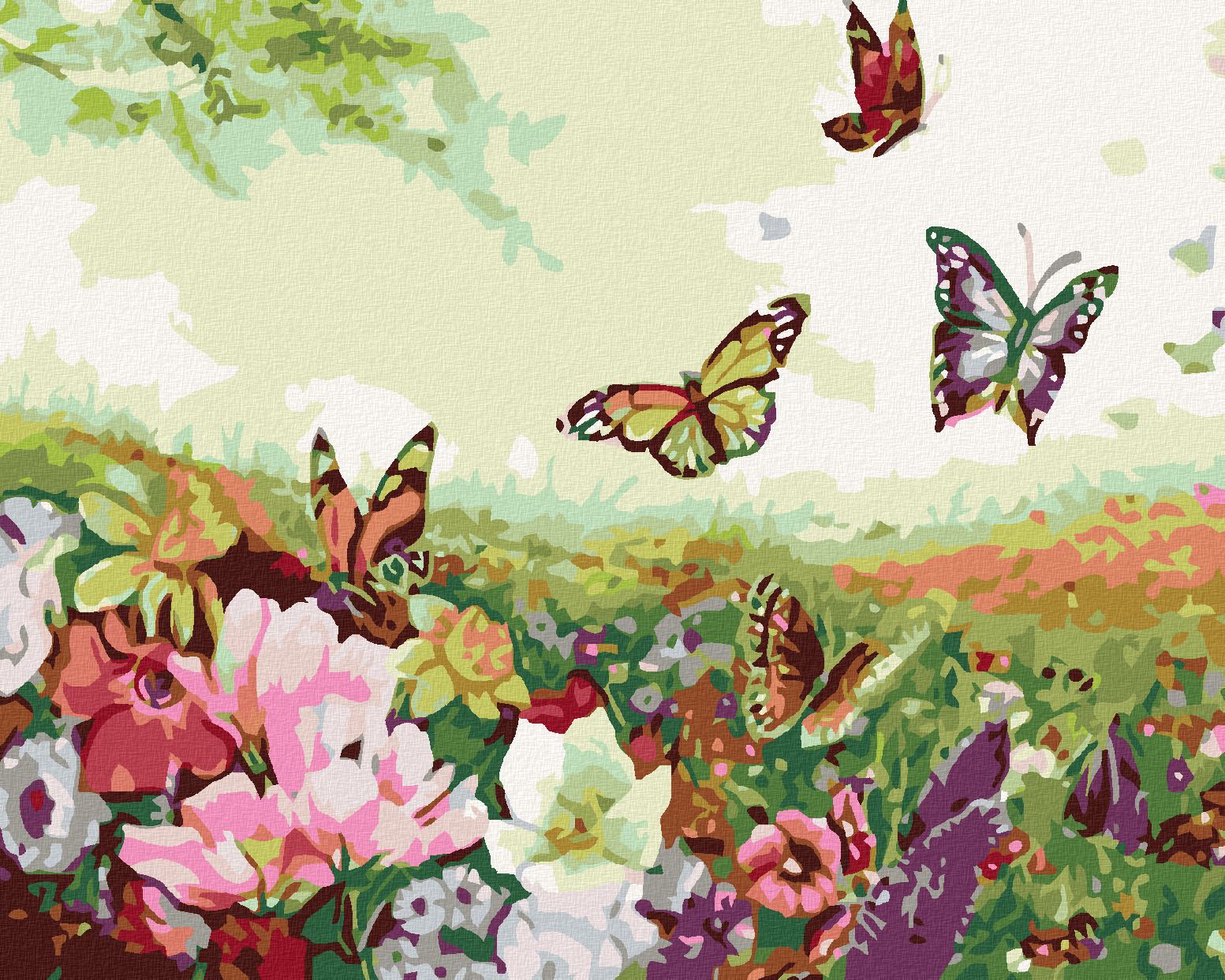 zuty Malování podle čísel - LOUKA PLNÁ MOTÝLŮ - Rozměr: 40x50 cm, Rámování: Varianta: vypnuté plátno na rám - obrázek 1