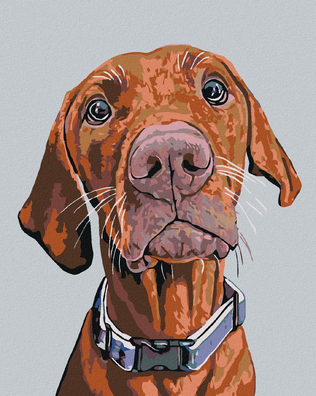 zuty Malování podle čísel - RIDGEBACK S MODRÝM OBOJKEM - Rozměr: 40x50 cm, Rámování: Varianta: bez rámu a bez vypnutí plátna - obrázek 1