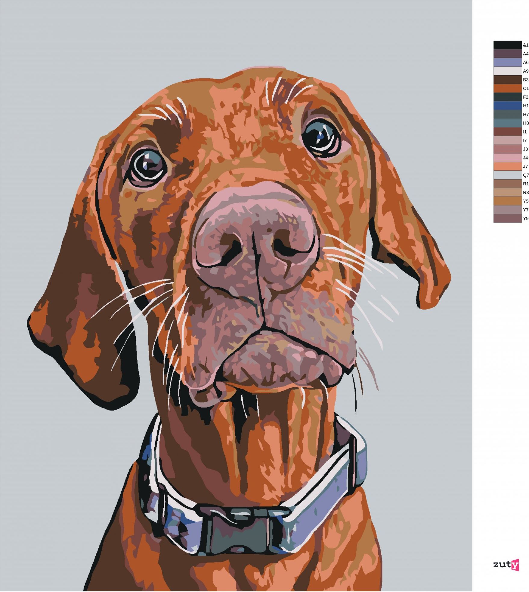 zuty Malování podle čísel - RIDGEBACK S MODRÝM OBOJKEM - Rozměr: 40x50 cm, Rámování: Varianta: vypnuté plátno na rám - obrázek 4