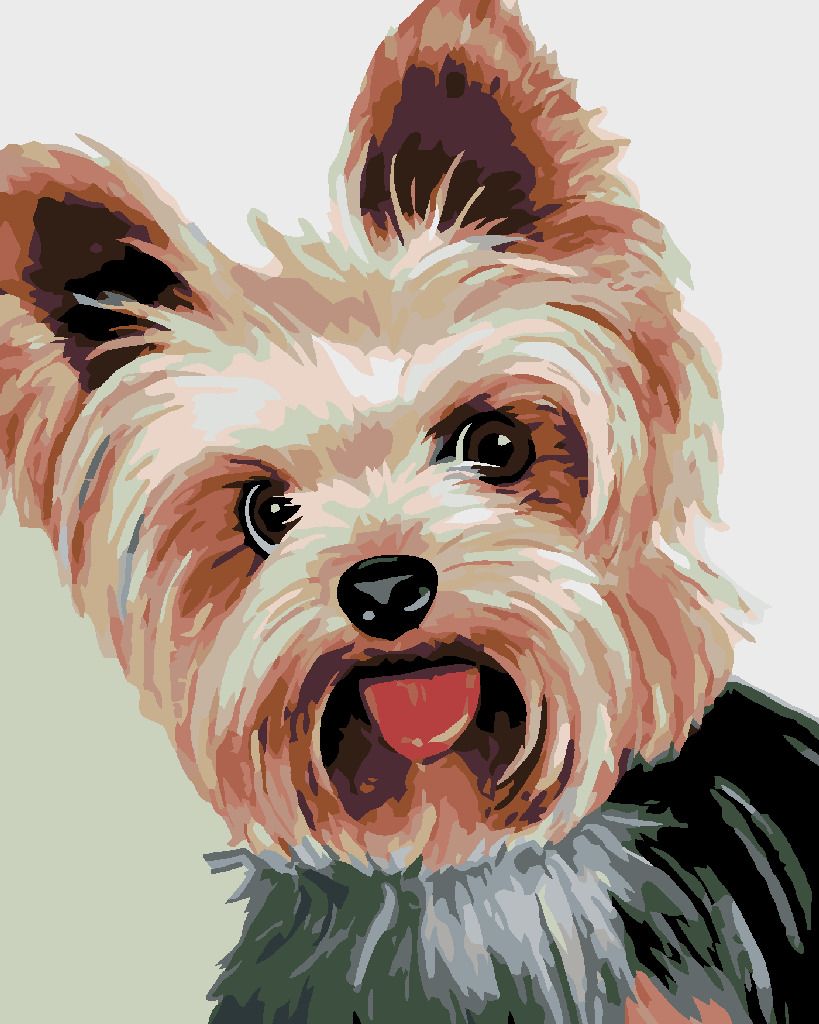 zuty Malování podle čísel - JORKŠÍREK II - Rozměr: 40x50 cm, Rámování: Varianta: bez rámu a bez vypnutí plátna - obrázek 3