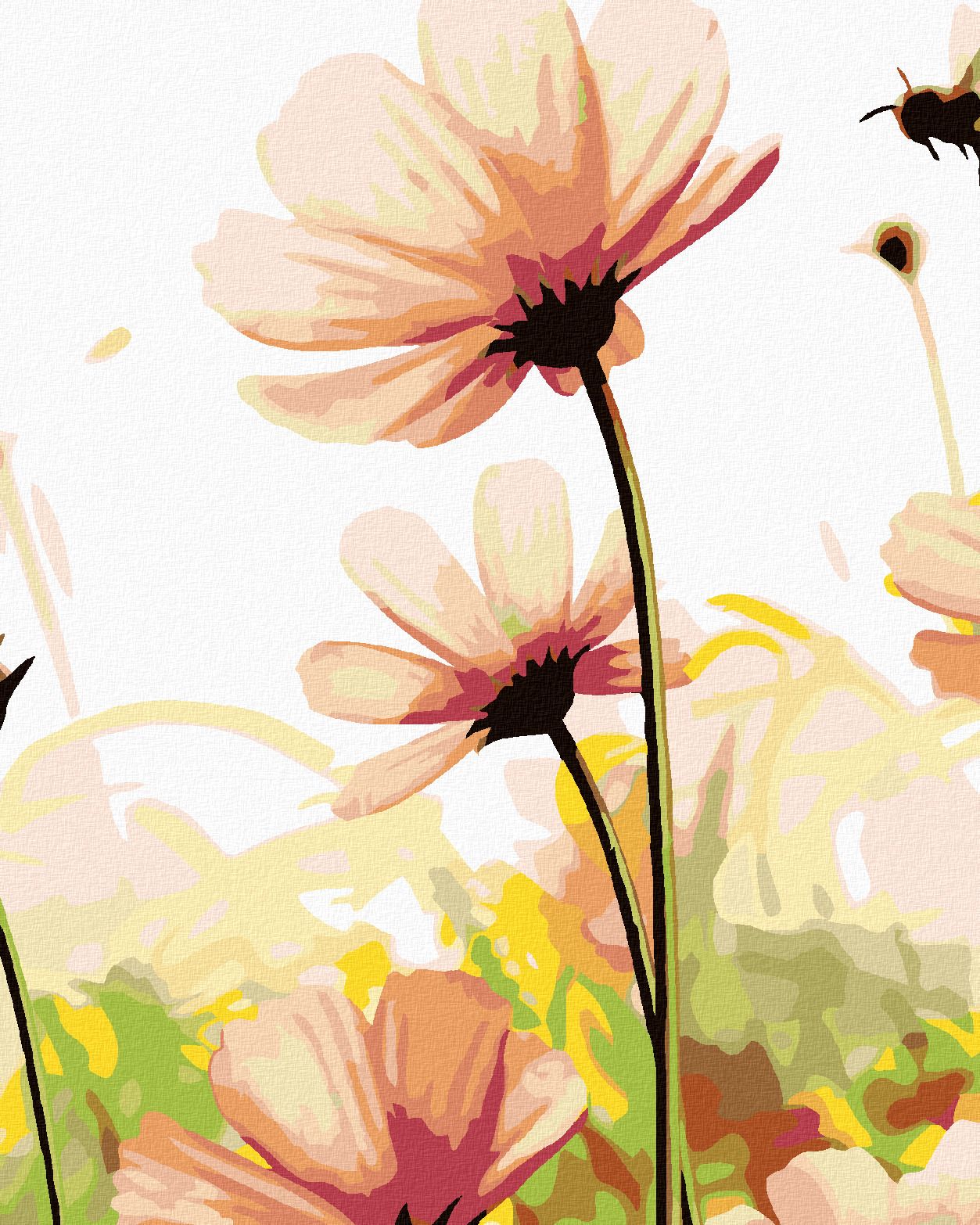 zuty Malování podle čísel - KVĚTY NA LOUCE - Rozměr: 40x50 cm, Rámování: Varianta: bez rámu a bez vypnutí plátna - obrázek 1